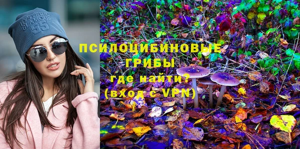spice Заволжск