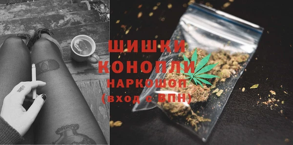 хмурый Заводоуковск