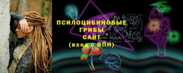 хмурый Заводоуковск