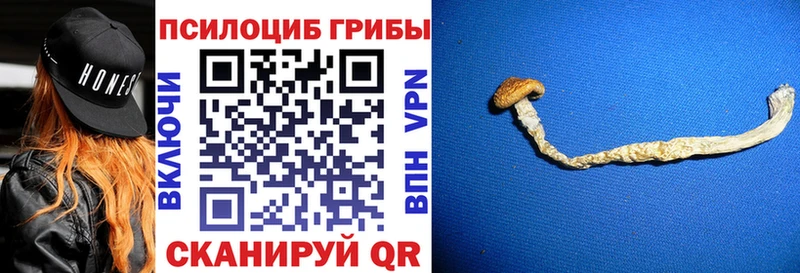 Галлюциногенные грибы мухоморы  Назрань 